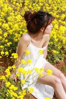 巨人导航seo